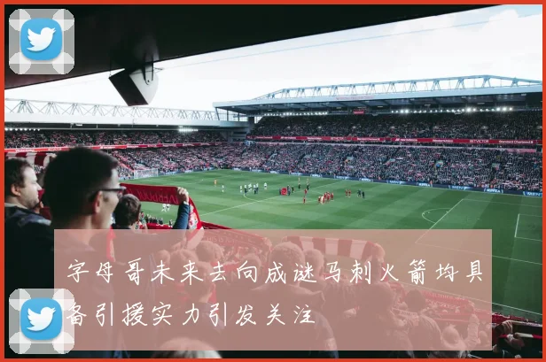 字母哥未来去向成谜马刺火箭均具备引援实力引发关注
