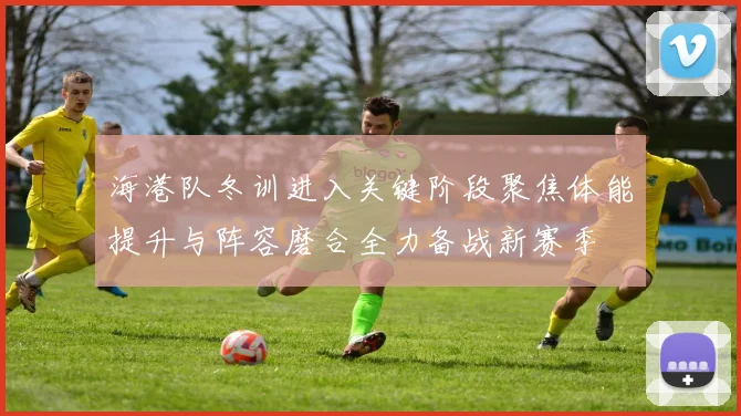 海港队冬训进入关键阶段聚焦体能提升与阵容磨合全力备战新赛季